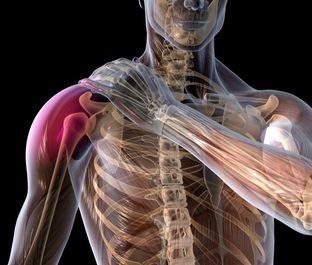 Shoulder-rotator-cuff-tear-healing